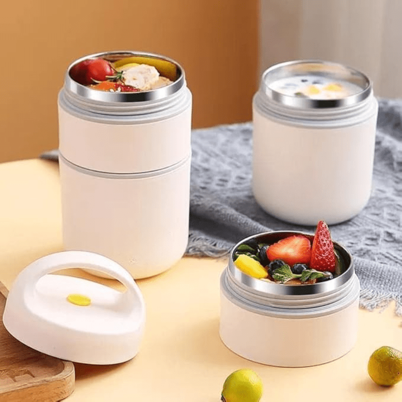 2-Tier Stainless Steel Insulated Lunch Box with Bag (680ml)
